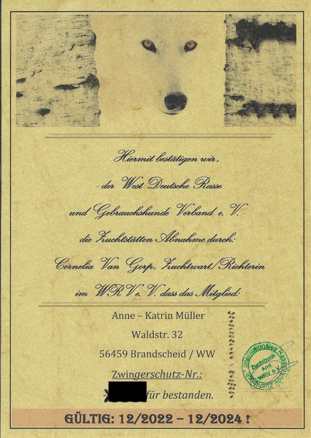 Pomeranianzucht - Hunderasse - Zertifikat