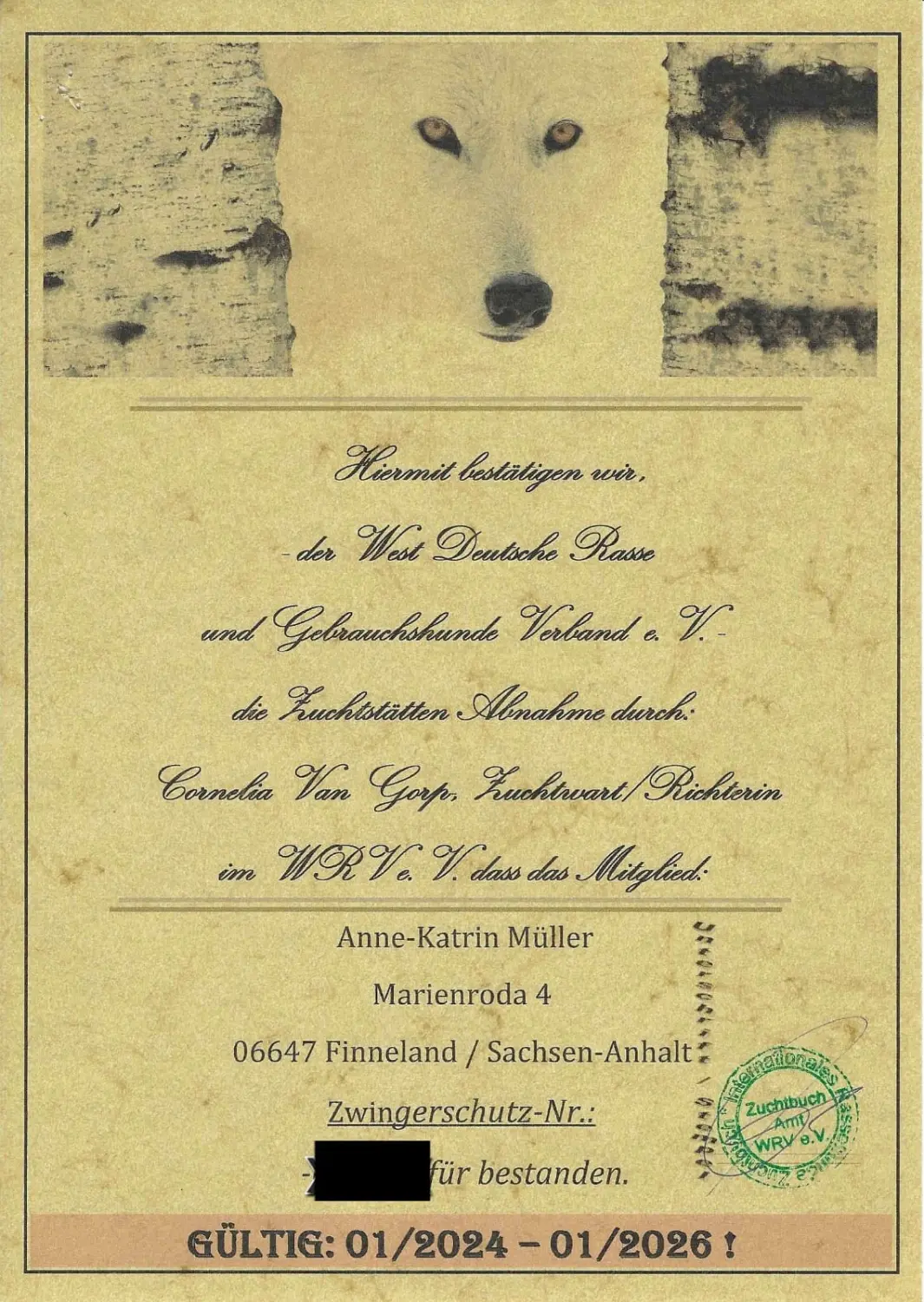 Pomeranianzucht - Hunderasse - Zertifikat