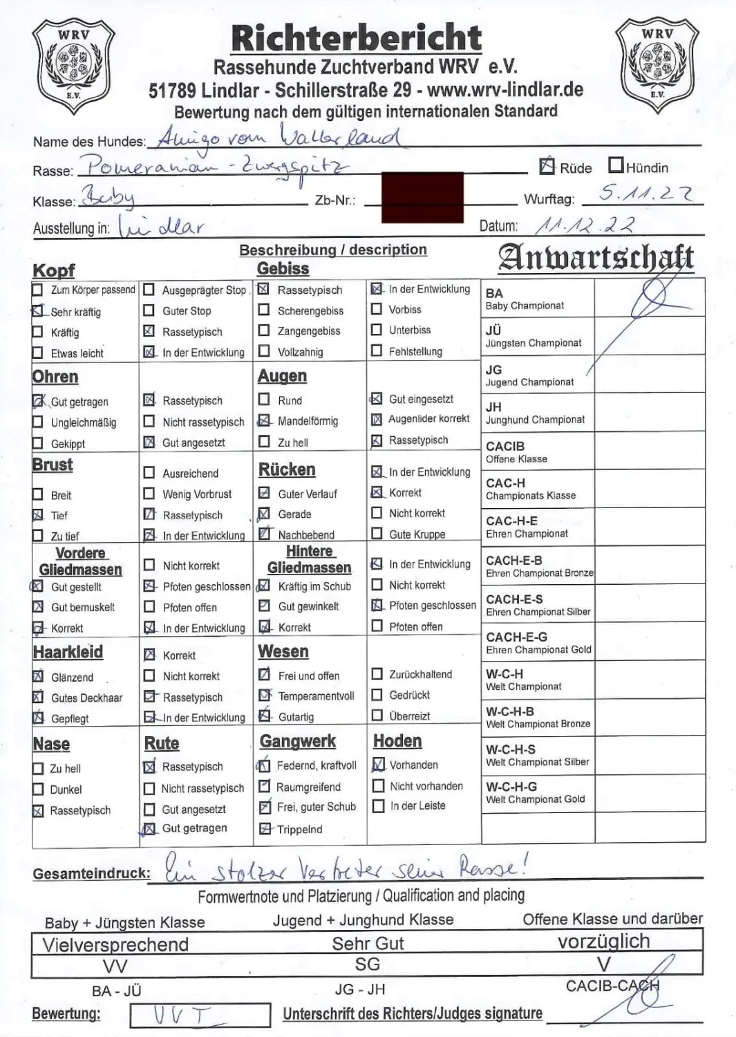 Pomeranianzucht - Hunderasse - Zertifikat