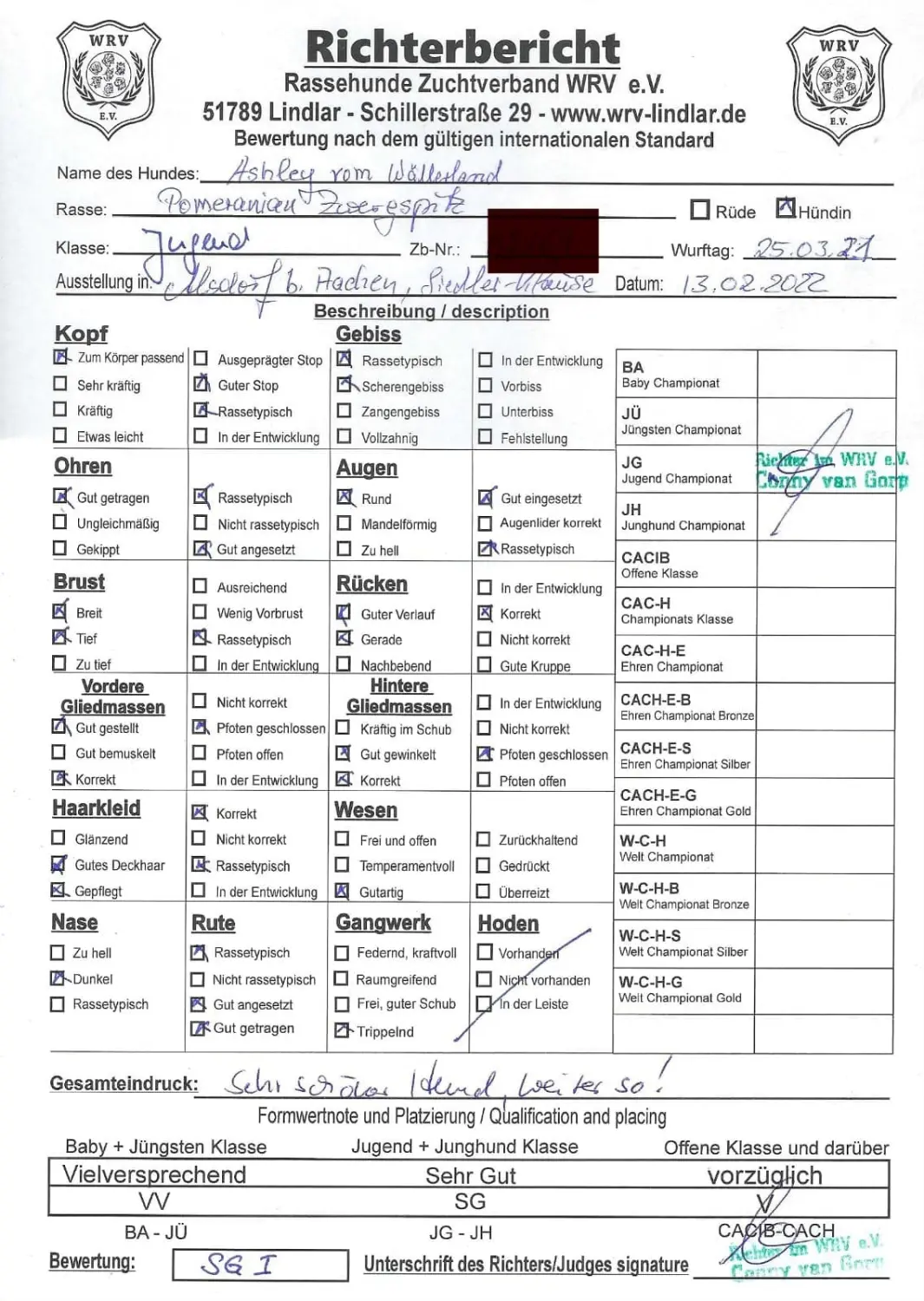 Pomeranianzucht - Hunderasse - Zertifikat